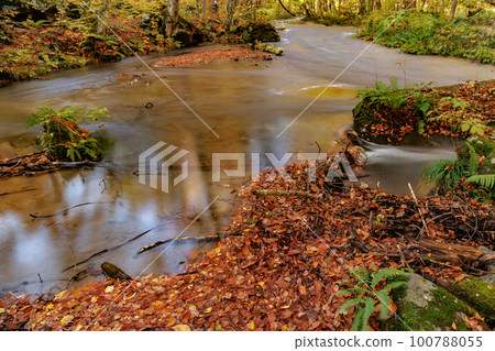 Stagnation of the Oirase Stream in late autumn (Aomori Prefecture) Stagnation of the Oirase Stream in late autumn (Aomori Prefecture) 100788055