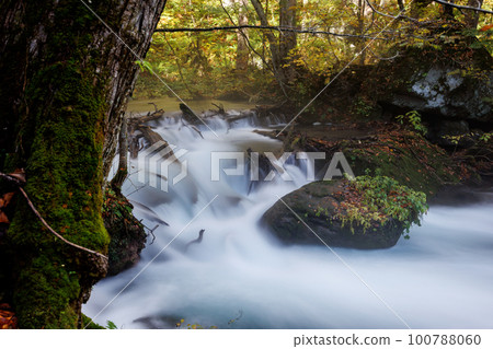Flow of the upstream part of the Oirase Stream in late autumn (Aomori Prefecture) Slow shutter Flow of the upstream part of the Oirase Stream in late autumn (Aomori Prefecture) Slow shutter 100788060