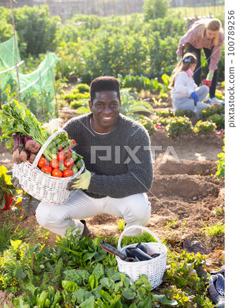 proffesional farmer with garden basket proffesional farmer with garden basket 100789256