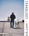 Goldendoodle walking with owner 100789441