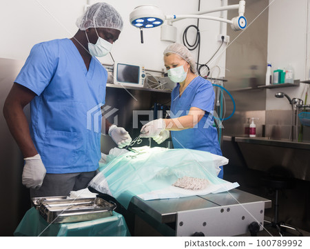 Proffesional veterinarians in uniform doing operation Proffesional veterinarians in uniform doing operation 100789992