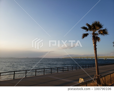 Kansai International Airport Coastline Connecting Bridge Kansai International Airport Coastline Connecting Bridge 100790106