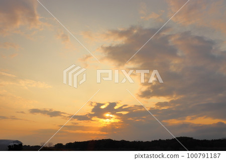 日落天空，雲，日落，森林 100791187
