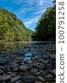 Summer river 100791258