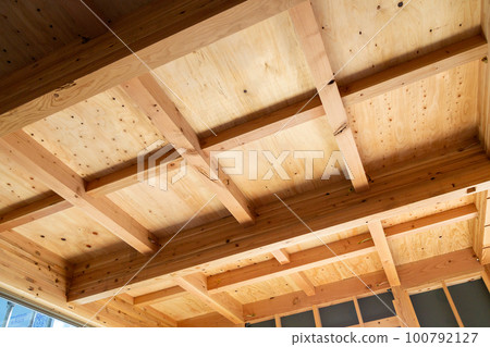 新建獨立屋地基(框架) 新建獨立屋地基(框架) 100792127