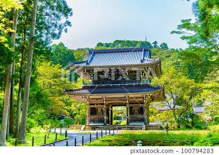 新潟林泉寺大門 100794283