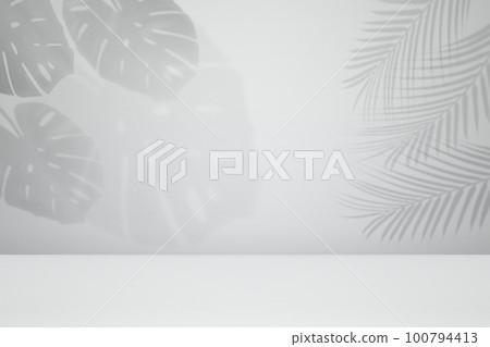 Empty monstera shadow texture pattern cement on grey wall background Summer tropical minimal concept Empty monstera shadow texture pattern cement on grey wall background Summer tropical minimal concept 100794413