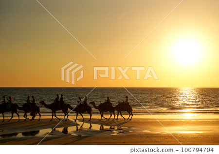 Sunset over the Indian Ocean in Broome and camel ride scenery 100794704