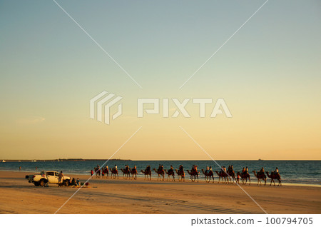 Camel ride scenery that advances along the seaside in a line 100794705