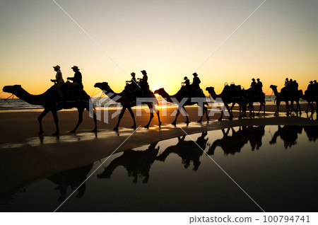 布魯姆著名的連續騎駱駝剪影 布魯姆著名的連續騎駱駝剪影 100794741