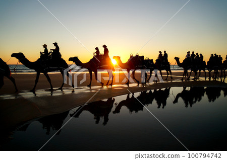 布魯姆著名的騎駱駝和壯觀的日落 100794742