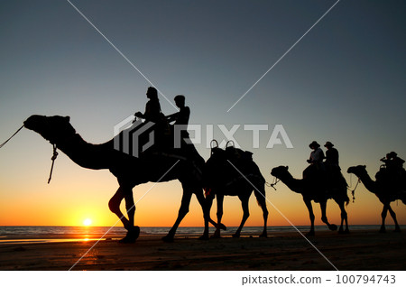 近距離拍攝布魯姆著名的騎駱駝之旅 100794743