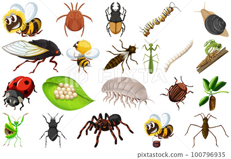Different kinds of insects collection 100796935
