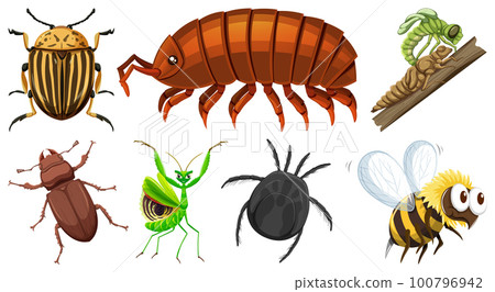 Set of different kinds of insects 100796942