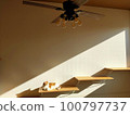Cat enjoying the sun on the catwalk 100797737