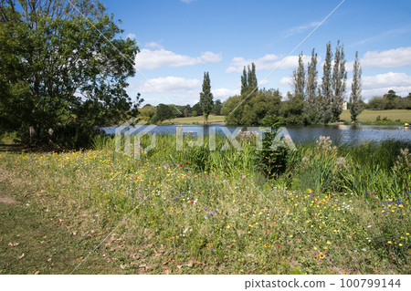 公園在英國丹森公園 公園在英國丹森公園 100799144