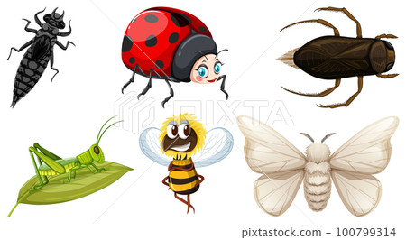 Set of different kinds of insects 100799314