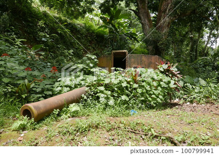 Japanese WW2 light house in Truk lagoon, Chuuk 100799941