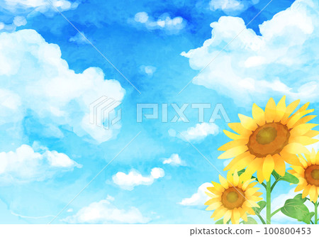 水彩向日葵和藍天矢量圖背景 100800453