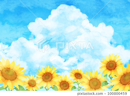 水彩向日葵和藍天矢量圖背景 100800459