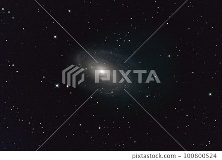 Beautiful spiral galaxy Bode's galaxy M81 Beautiful spiral galaxy Bode's galaxy M81 100800524