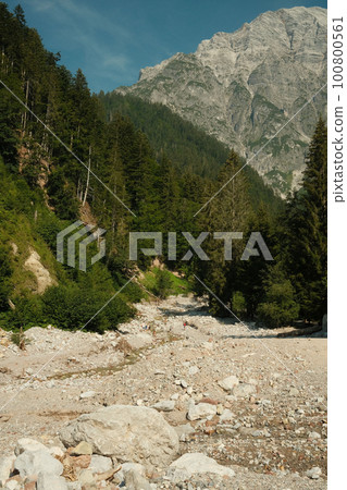 Pathway amidst trees into the woods in Leogang, Austria Pathway amidst trees into the woods in Leogang, Austria 100800561