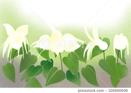 Epimedium flower card 1 Epimedium flower card 1 100800690