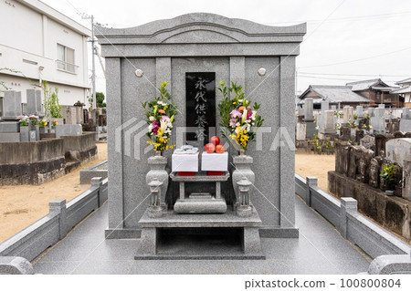 Image of a permanent memorial grave 100800804