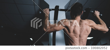 Back view of shirtless man with pull-ups in gym. Back view of shirtless man with pull-ups in gym. 100802052