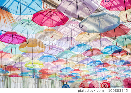 Herb garden's colorful "Umbrella Sky", Inawashiro Town, Fukushima Prefecture Herb garden's colorful "Umbrella Sky", Inawashiro Town, Fukushima Prefecture 100803545