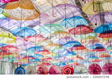 Herb garden's colorful "Umbrella Sky", Inawashiro Town, Fukushima Prefecture Herb garden's colorful "Umbrella Sky", Inawashiro Town, Fukushima Prefecture 100803546