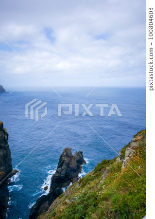 Cape Ortegal cliffs and atlantic ocean, Galicia, Spain 100804603