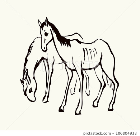 Starving skinny horse. Vector drawing Starving skinny horse. Vector drawing 100804938