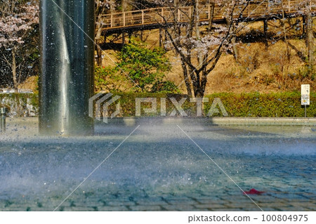 東京都町田市帶有蹺蹺板噴泉的公園 Serigaya Park 東京都町田市帶有蹺蹺板噴泉的公園 Serigaya Park 100804975
