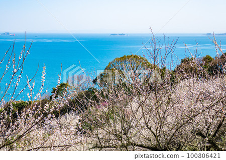 美麗的梅林風光 美麗的梅林風光 100806421