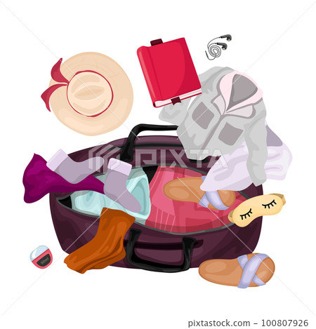 Travel Baggage Cartoon Illustration 100807926