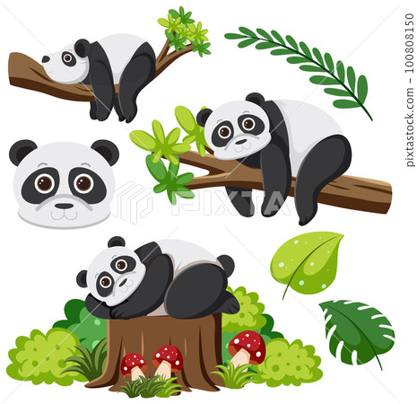 Set of panda cartoon character 100808150