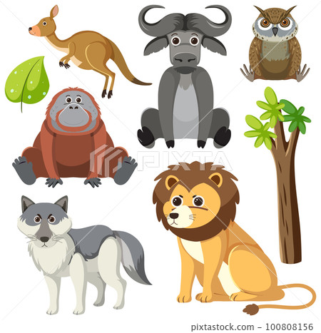 Wild Animals Cartoon Collection 100808156