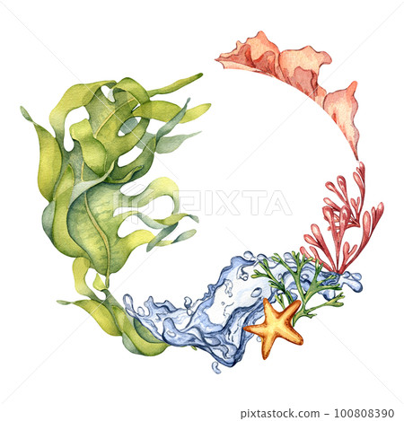 Frame of colorful sea plants and water splash watercolor illustration isolated on white. Frame of colorful sea plants and water splash watercolor illustration isolated on white. 100808390