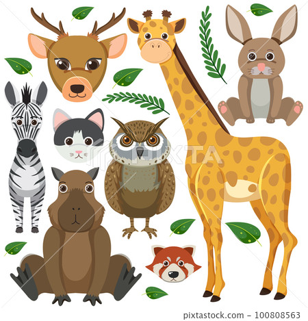 Set of mix animal character Set of mix animal character 100808563