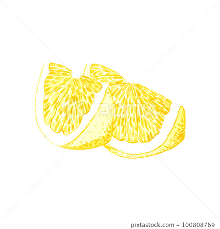 Hand drawn watercolor slice of lemon isolated on white background. Scrapbook, post card, banner, lable. 100808769