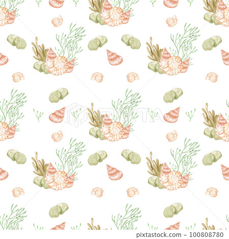Hand drawn watercolor seashells and seaweed seamless pattern isolated on white background. Scrapbook, post card, textile, fabric. Hand drawn watercolor seashells and seaweed seamless pattern isolated on white background. Scrapbook, post card, textile, fabric. 100808780