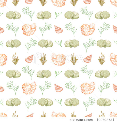Hand drawn watercolor seashells and seaweed seamless pattern isolated on white background. Scrapbook, post card, textile, fabric. Hand drawn watercolor seashells and seaweed seamless pattern isolated on white background. Scrapbook, post card, textile, fabric. 100808781