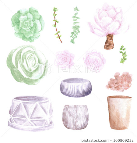 Succulent plants, small and big pots on white Background. Hand drawn Watercolor set. Botanical delicate illustration. Scrapbook design elements. Typography poster, card, label, banner design. 100809232