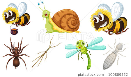 Collection of different insects vector Collection of different insects vector 100809352