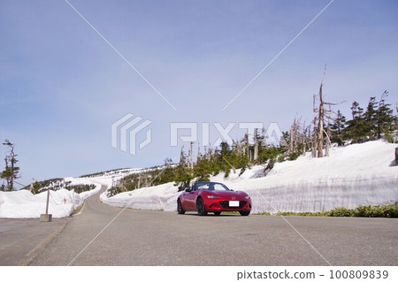 春季駕駛圖像紅色跑車 春季駕駛圖像紅色跑車 100809839