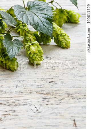 Green fresh hop border 100811399