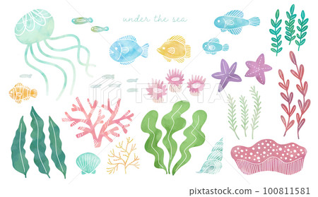 手繪海洋生物 手繪海洋生物 100811581