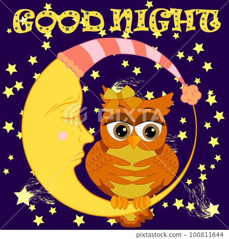Good night. Card with cute sleeping owl. illustration. 100811644