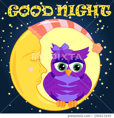 Good night. Card with cute sleeping owl. illustration. Good night. Card with cute sleeping owl. illustration. 100811645